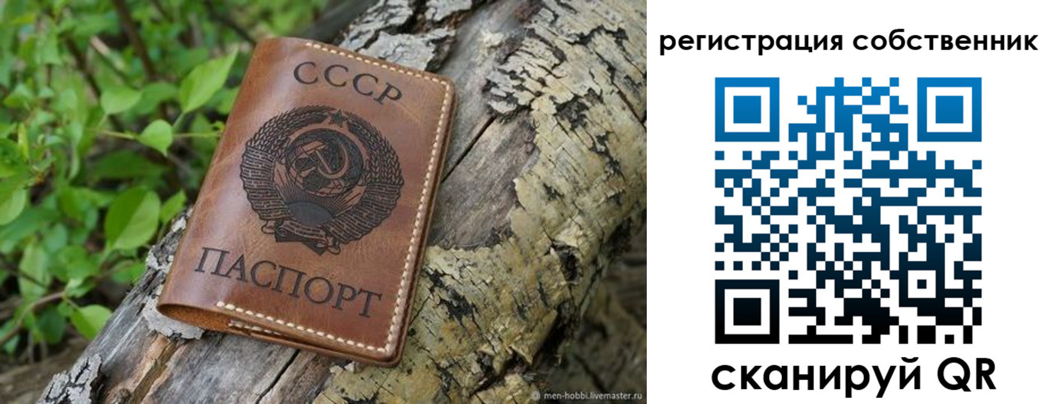 форма 3 в Коряжме